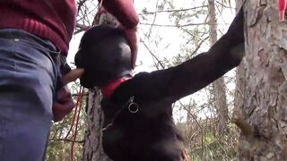 Tied to a tree, masked and outdoor deepthroated with no mercy