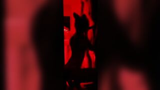 Cute Red Fox Girl and Tik Tok Silhouette Challenge! Meow