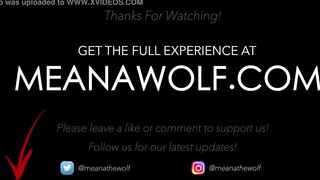 For The Fans - Meana Wolf