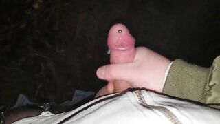 Stroking my pierced cock in the woods + cumshot with moaning