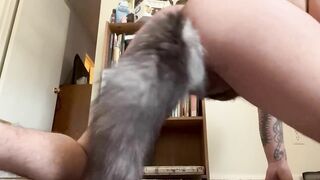 Ftm puppy shaking tail and rubbing pussy