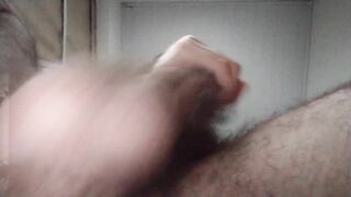 hairy bush balls bouncing \ close up ( bouncing balls