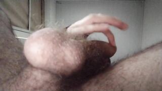 hairy bush balls bouncing \ close up ( bouncing balls