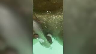 Jasmine masturbates the clitoris with a waterproof sex toy in the jaccuzy