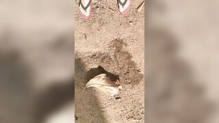 Girl Pissing on a large leaf that has fallen from a tree to the ground in Nature Park