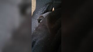 Secretly masturbating in leggings