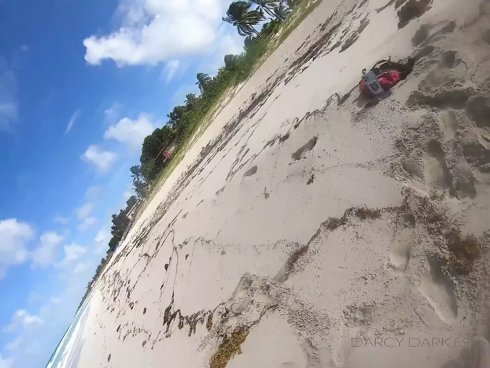 Fucking on a Beach. Darcy Dark